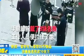 留学生带35万元物品入境，涉嫌逃税10余万，已构成刑事立案标准视频封面