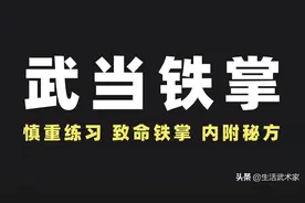秘传武当铁掌功！出手软如绵，上身重如铁图片