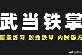 秘传武当铁掌功！出手软如绵，上身重如铁图片