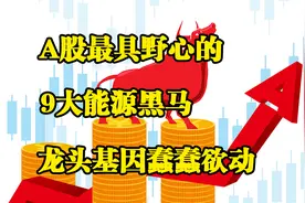A股最具野心的9大能源黑马，龙头基因蠢蠢欲动图片