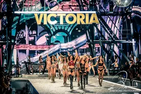 性感、女权和bra图片