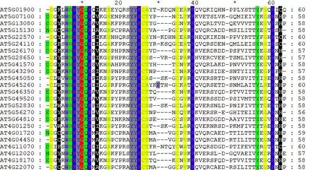 如何绘制漂亮的多重序列比对图