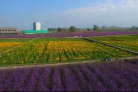跟美食游武威 || 普康烤全羊图片