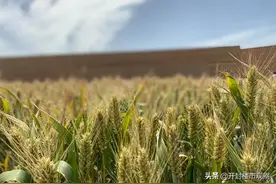 不悫你，这是你在河南能看到的最好的剧场图片