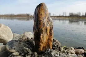 一边旅游，一边寻玉，我在汉江边捡到的这30块树化玉，很美很值钱图片