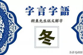 树东言“冬”字由来，夏日里，给你带去一缕清凉图片