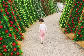留给孩子的最大的财富是它图片