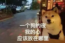 吃喝（餐饮）都是怎么交税的？图片