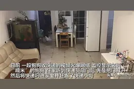 狗狗开门拿快递引热议，不是第一次，之前提醒女孩写作业登上热搜图片