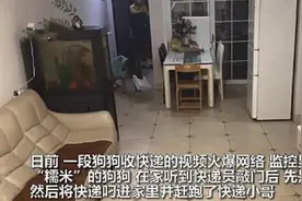 狗狗开门拿快递引热议，不是第一次，之前提醒女孩写作业登上热搜图片