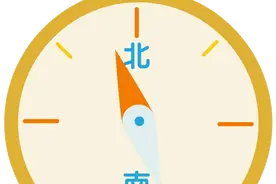 鸵鸟不会飞的奥秘图片
