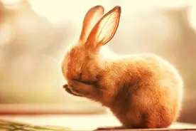 最高人民法院指导性案例汇编（第1-147号）——（一）图片