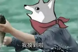 怼领导的20个表情包！超解气拿走不谢图片