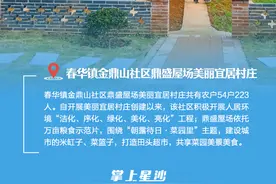 看！我们的美丽宜居村庄图片