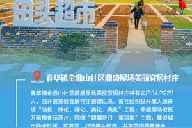 看！我们的美丽宜居村庄图片