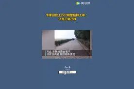 上万螃蟹集结上岸疑为灾难前兆 专家：只是正常迁移图片