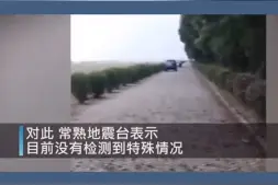 上万螃蟹集结上岸疑为灾难前兆 专家：只是正常迁移图片
