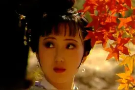 年少不懂林黛玉，读懂已至知天命图片