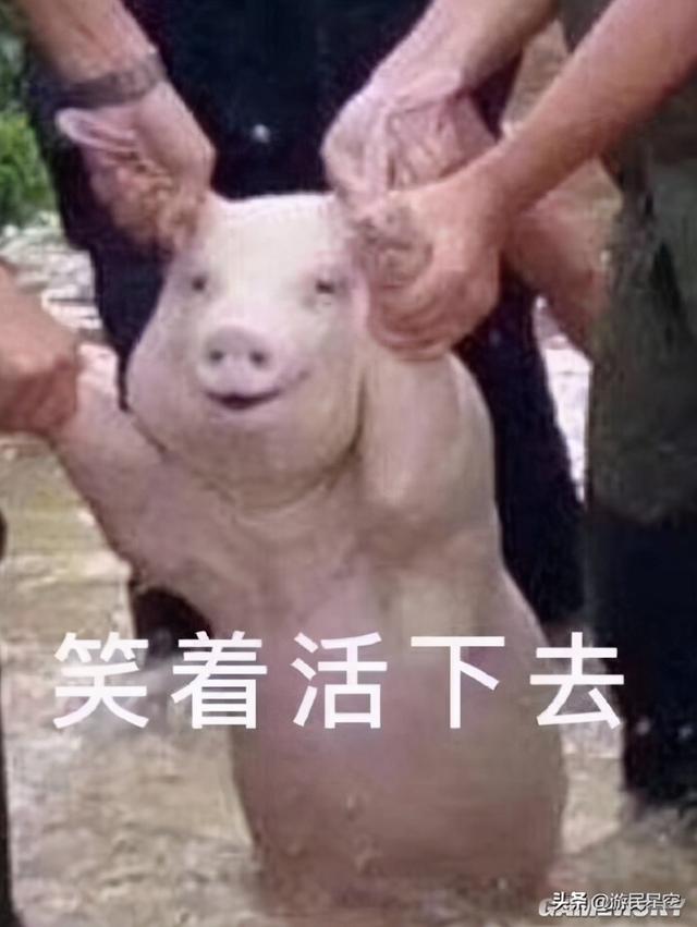 《人类跌落梦境》评测：沙雕风骚不减当年