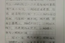 孩子们的看图编故事《有趣的鸡蛋壳》出炉啦图片