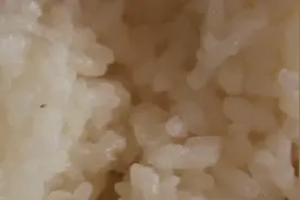煮饭想要好吃有诀窍，学会这几招，没做菜也能吃上几碗图片