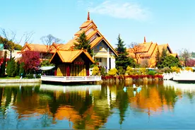 西双版纳旅居，岁寒银冬，去人间天堂看春暖花开图片