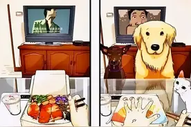 “养狗”和“不养狗”的人，生活差距很大，看完心疼了图片