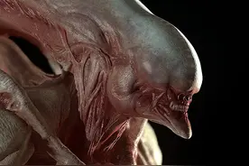 介绍几种鲜为人知的异形变异体图片