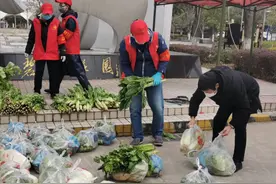 “小熊时蔬”小程序，一个月帮农户卖菜近30万公斤图片