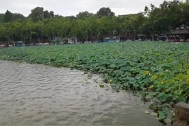 我眼中的浙江人图片