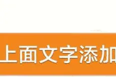 鸽子需要六大营养素你知多少 ？图片