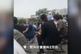 中国刑警学院54只淘汰犬拍卖现场竞争激烈 买主：有人一上来就喊2万元 竞价十几轮图片
