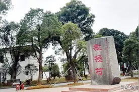 江西南昌有一个村，近代以来人才辈出，培育出了300多名教授图片