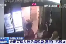 好样的！烟头引燃毛毯 机智金毛灭火救家！图片