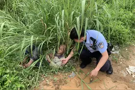 一90岁老人奄奄一息地躺在山坡旁的草丛里，幸亏被发现了图片