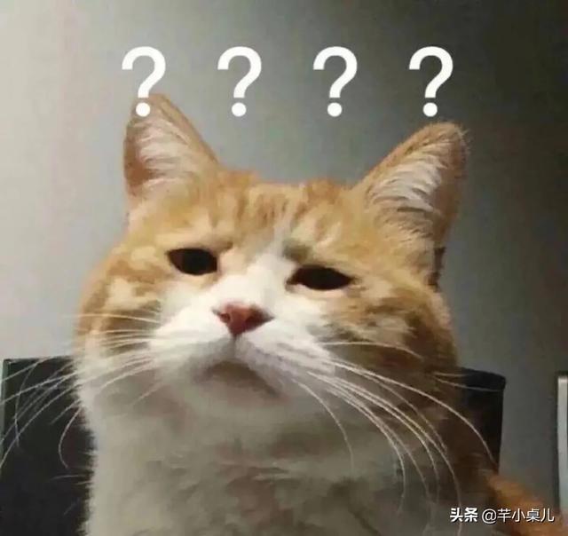 花胶香菇排骨汤 2026年花胶香菇排骨汤怎么做