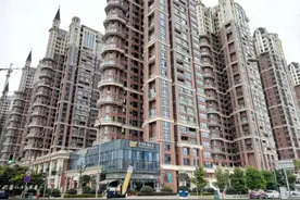 中德英伦世邦取证，个人认为高新刚需二顺位还是氛围组选手图片