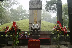 山东孔林有哪些古怪之处？乌鸦不栖蛇类远避，古人的智慧令人折服图片