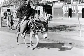 郭德纲最有意思的单口相声，荒诞中充满了人性的黑暗图片
