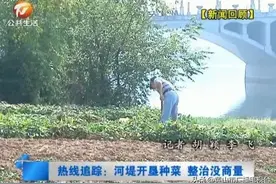 「热线追踪」河堤开垦种菜 整治没商量图片