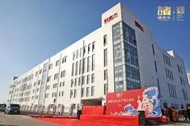 一口粽子背后的供应链，嘉兴粽子的独门绝技图片