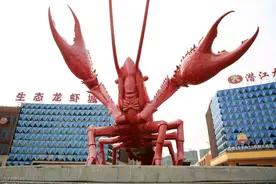 一只虾何以游成“一条龙”——潜江小龙虾全产业链发展路径探源图片