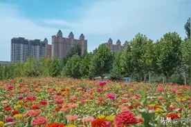 美丽乡村 魅力中牟图片