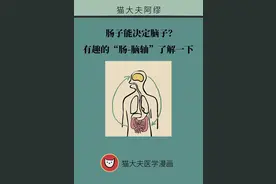 肠子能决定脑子？有趣的“肠-脑轴”了解一下图片