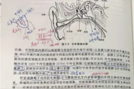 火出圈！湖北学霸逆天笔记曝光！网友直呼：这才是真正的高手图片