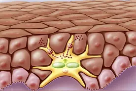 我们到底是怎么晒黑的，怎么更科学的美白？图片