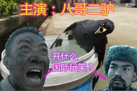 八哥二驴惨遭偷袭！李云龙拔刀相助图片