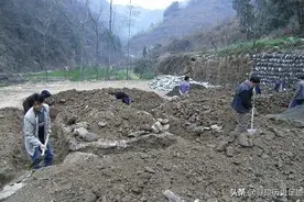 湖南湘潭村民盖新房，意外挖出“野猪”，专家：全世界仅此一件图片