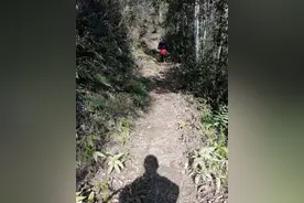 慢节奏，原来只是因为你……图片