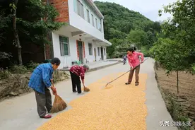 两个妈妈一个79岁一个88岁，50岁农妇留守深山尽孝，还种地养猪图片